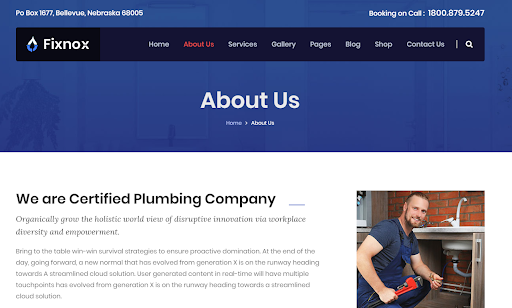 Plumbing Website example