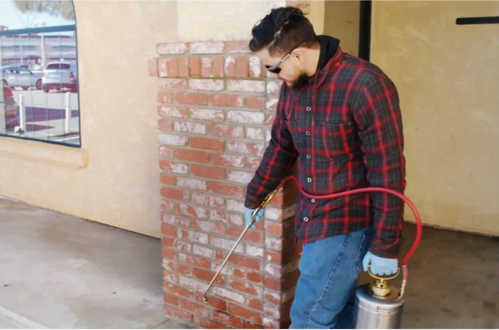 Pro spraying insecticide around brick column