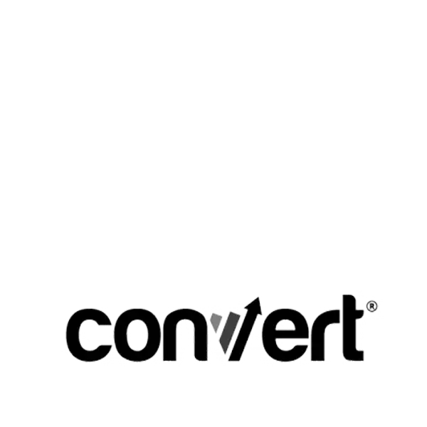 Convert websites logo