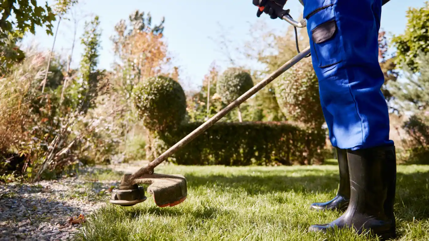 commercial lawn care