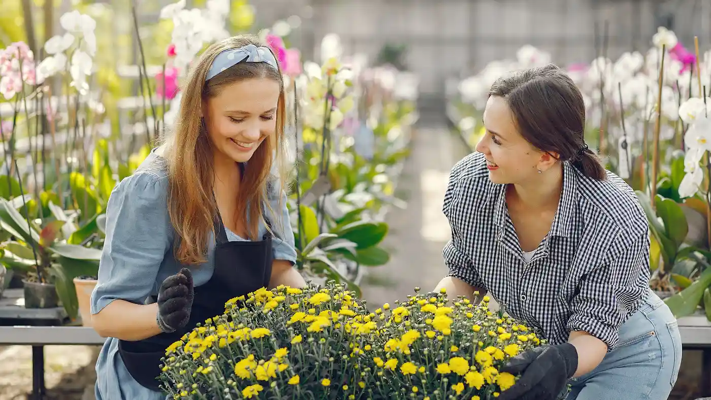 Landscaping professionals arranging flowering plants in a greenhouse nursery.