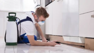 Pro worker spraying the insecticide chemical in kitchen